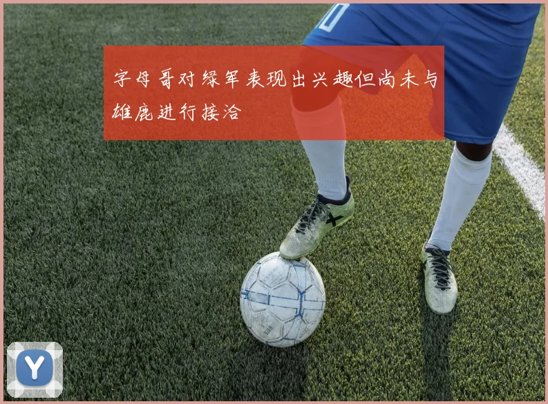 字母哥对绿军表现出兴趣但尚未与雄鹿进行接洽