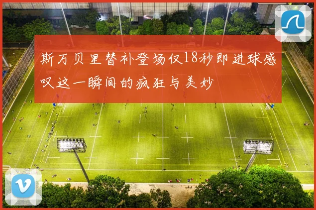 斯万贝里替补登场仅18秒即进球感叹这一瞬间的疯狂与美妙